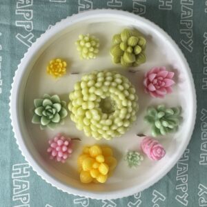 Succulent Plant Garden Candle