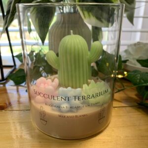 Succulent Terrarium