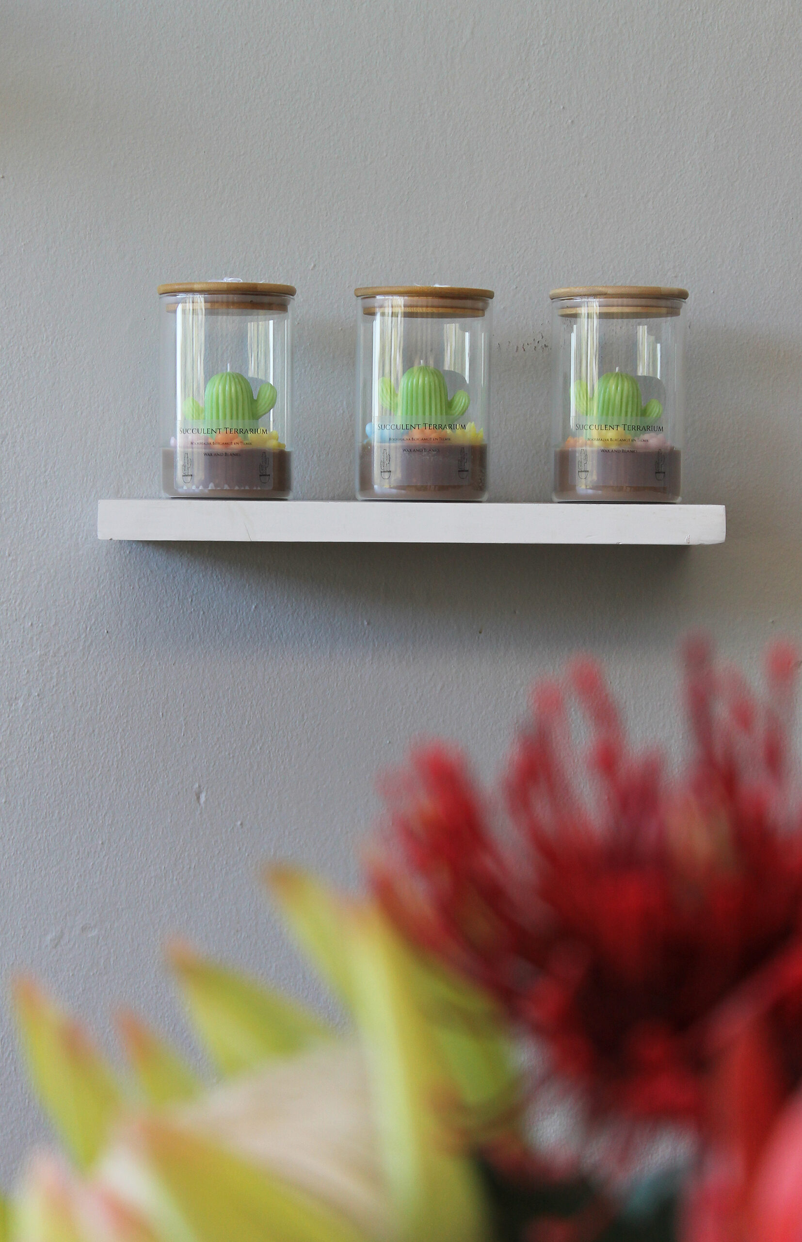Succulent Terrarium