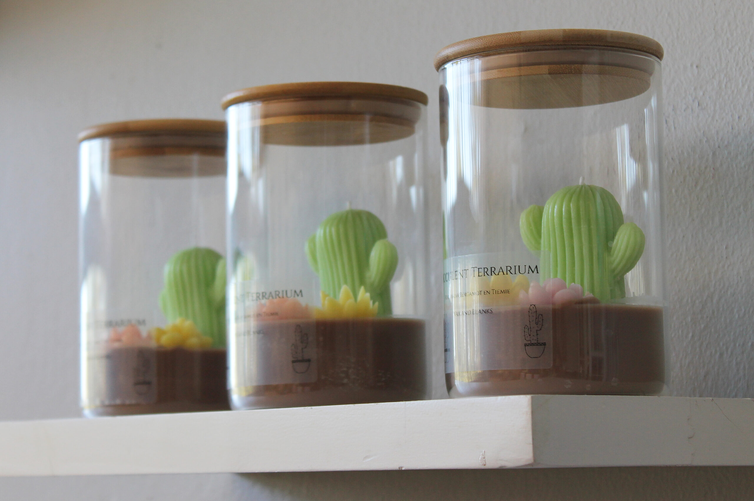 Succulent Terrarium - Image 5