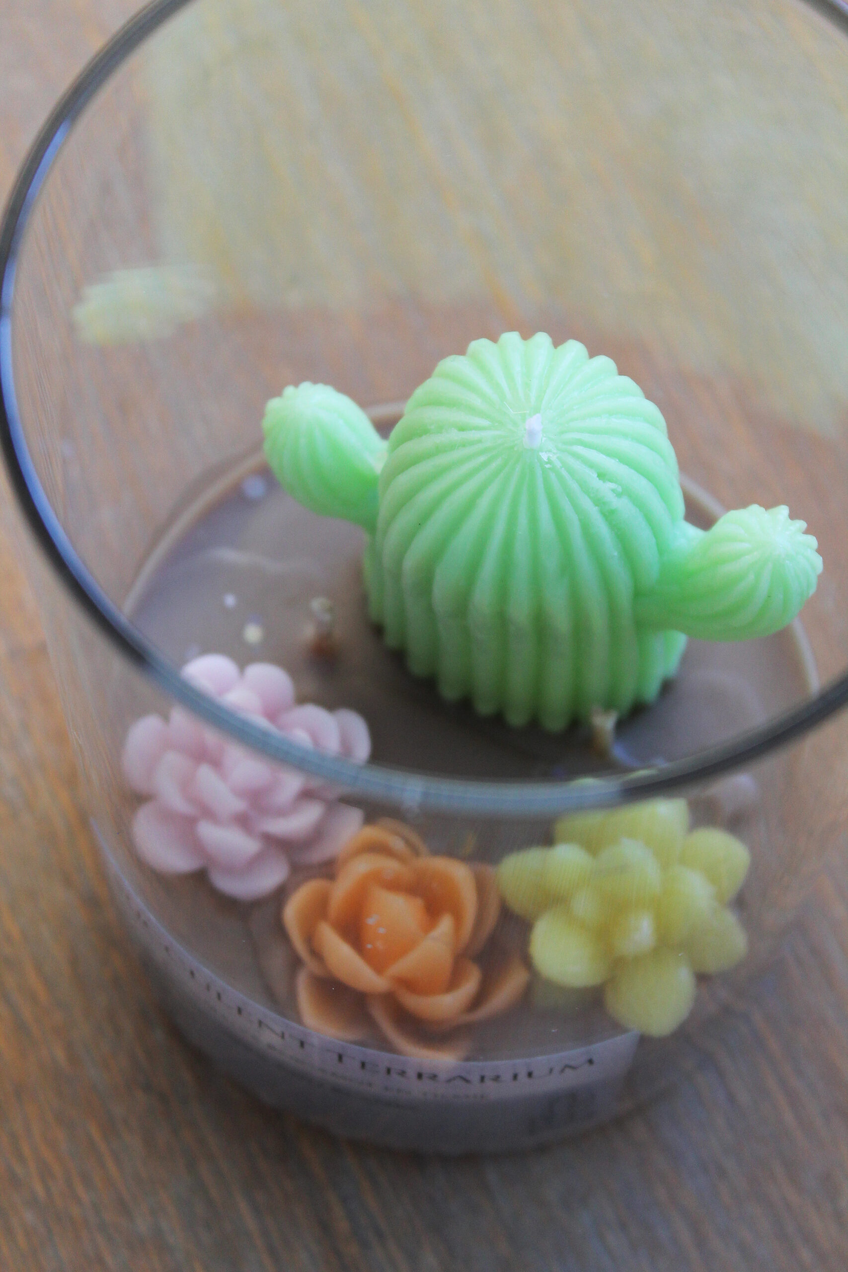 Succulent Terrarium - Image 3